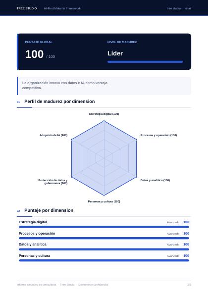 Página 2 del informe ejecutivo de madurez digital e IA
